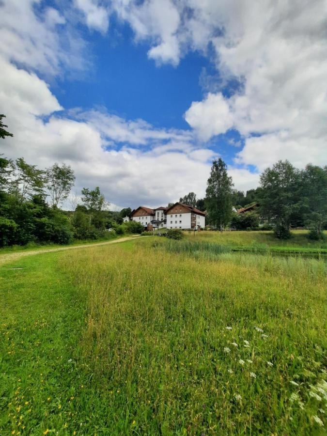 Arberapartment Bayerisch Eisenstein Esterno foto